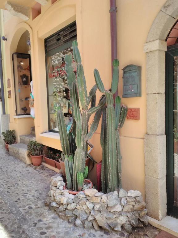 Le Piccole Grotte Bed & Breakfast Scilla Eksteriør bilde